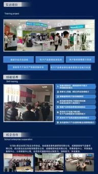 2019年招生專業 移動通信技術與信息技術咨詢服務